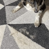 SilkSweep Pro™ Reinigingsborstel