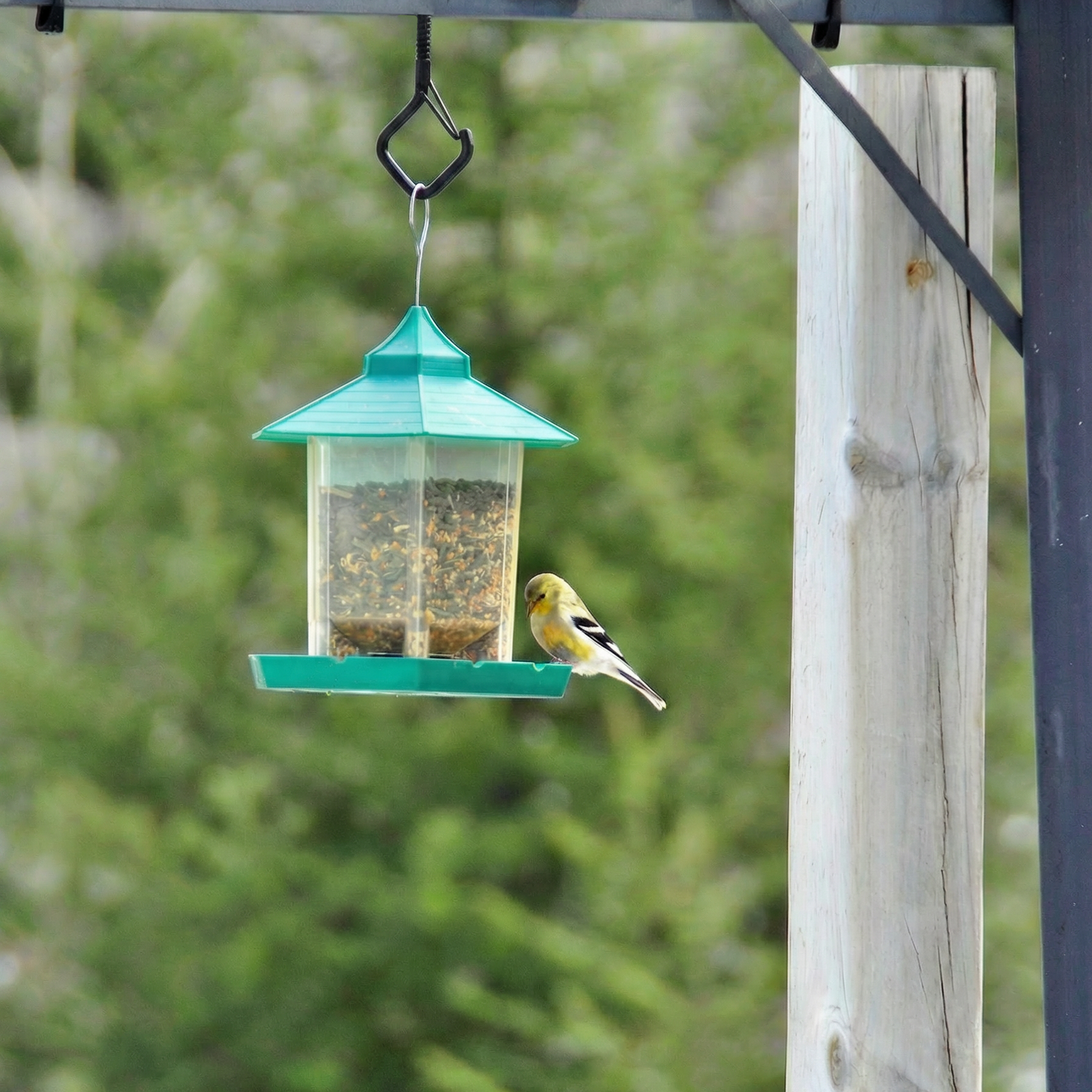 SecureGlow Hooks™ – Heavy-Duty Veiligheidshaken voor Sterke en Veilige Bevestiging